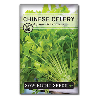 crunchy asian leaf leafy flavorful aromatic stalks leaves chinese celery seeds for growing