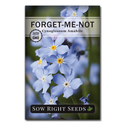delicate blue forget me not seeds for sale