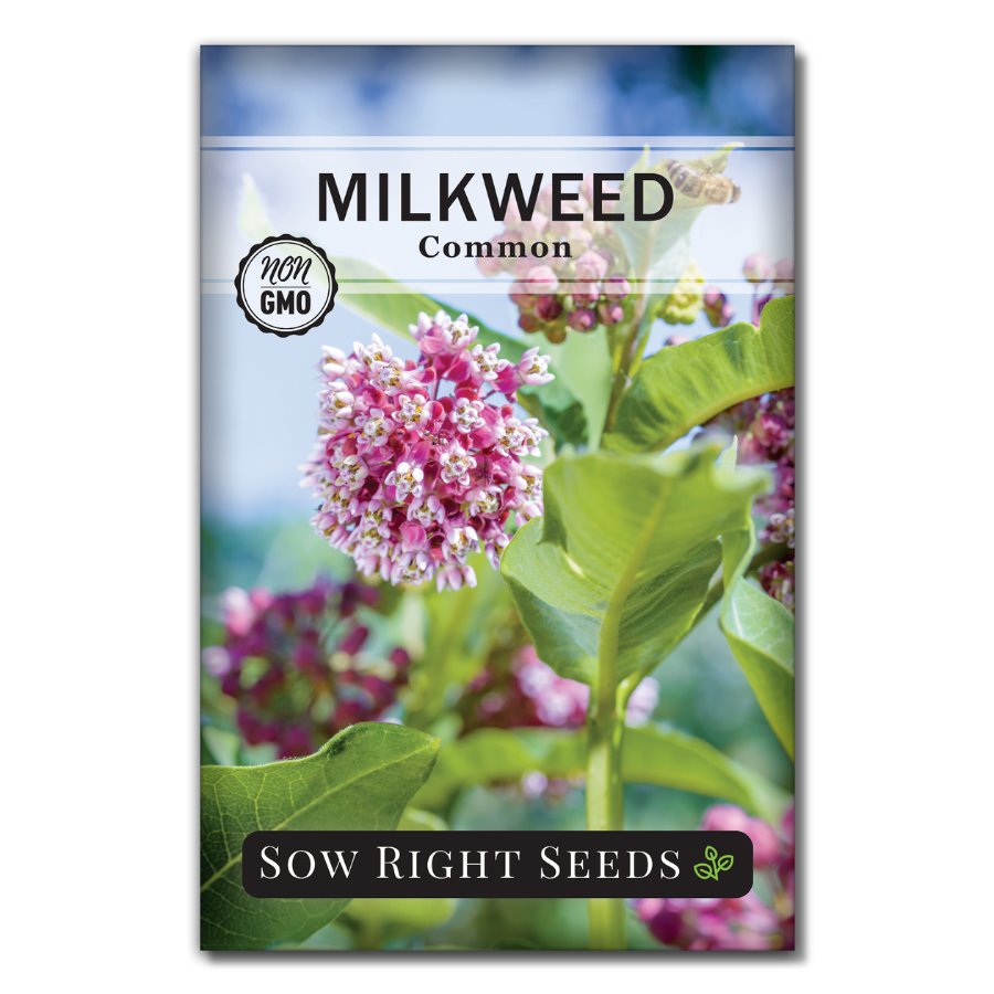 rose milkweed seeds Sow Right Seeds Common Milkweed Seeds; Attract Monarch Butterflies to Your Garden; Non-GMO Heirloom Seeds; Full Instructions for Planting, Wonderful