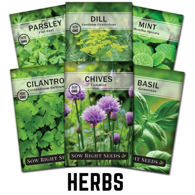 essential herb seed packets for a basic home garden