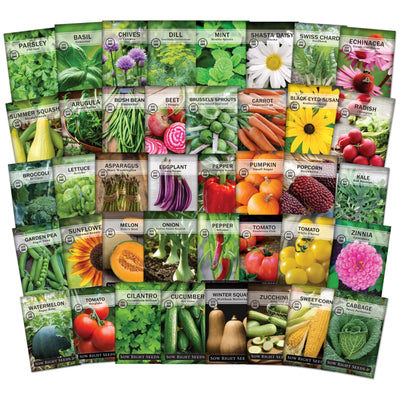 complete garden seed packet collection with 40 varieties of seeds for sale