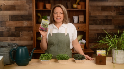 kale microgreens product video why you should grow kale microgreens seeds sow right seeds video media
