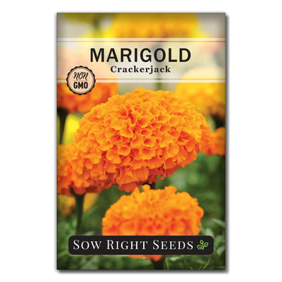 sunny orange and tall marigold seeds for sale