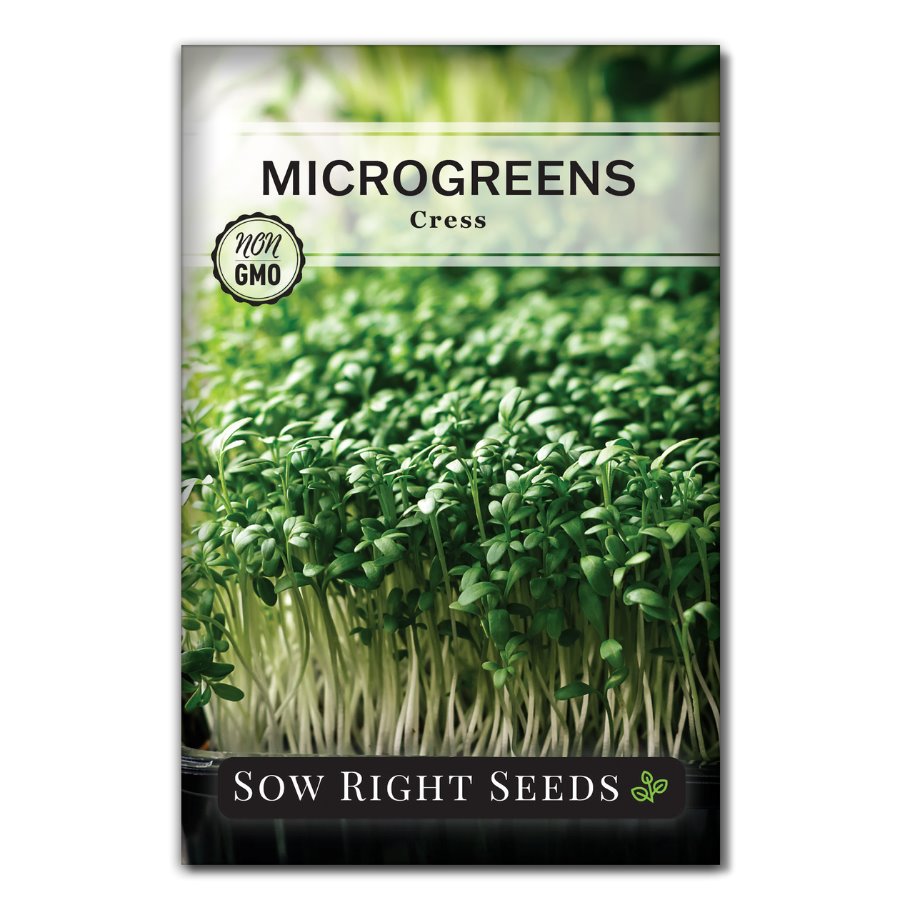 Cress Seed, Microgreen, Sprouting, Non GMO - Country Creek