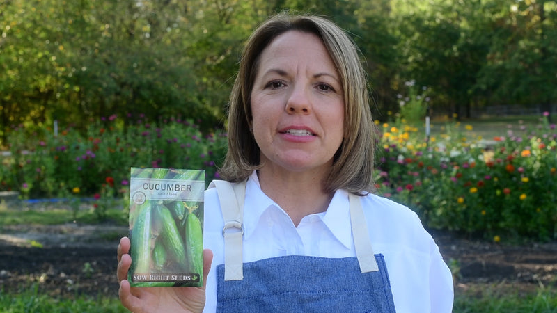 beit alpha cucumber product video why you should grow beit alpha cucumber seeds sow right seeds video media