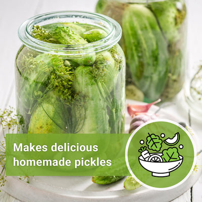 home made dill pickles national pickling cucumber makes delicious homemade pickles