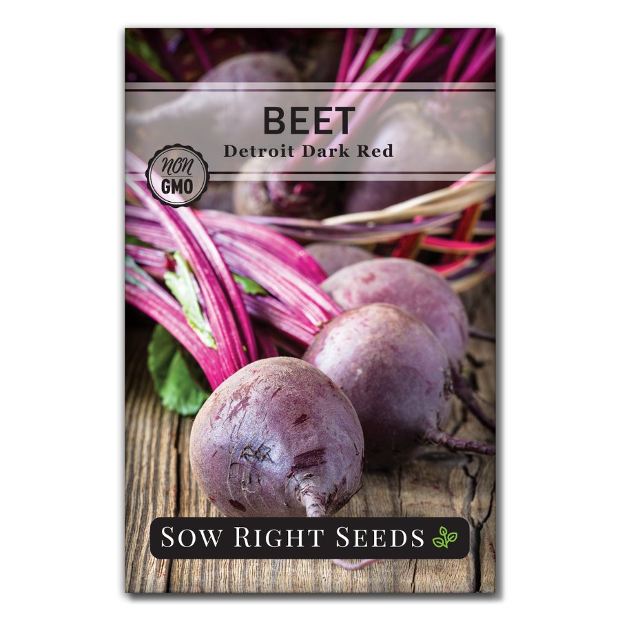 Detroit Dark Red Beet for Planting Easy to Grow Sow Right Seeds
