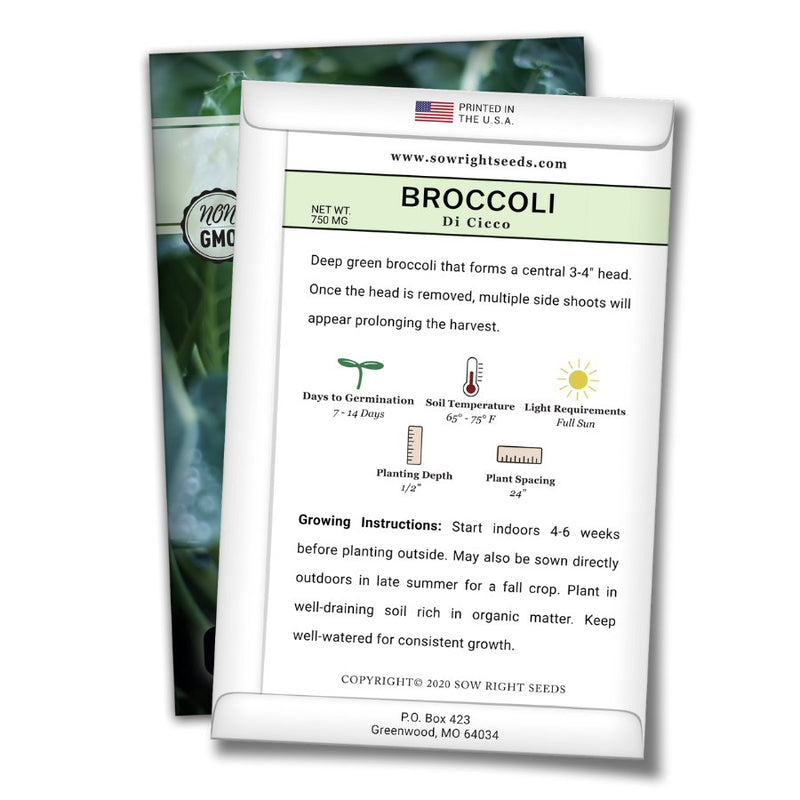 how to grow the best di cicco broccoli plants