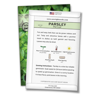 how to grow the best flat leaf parsley plants