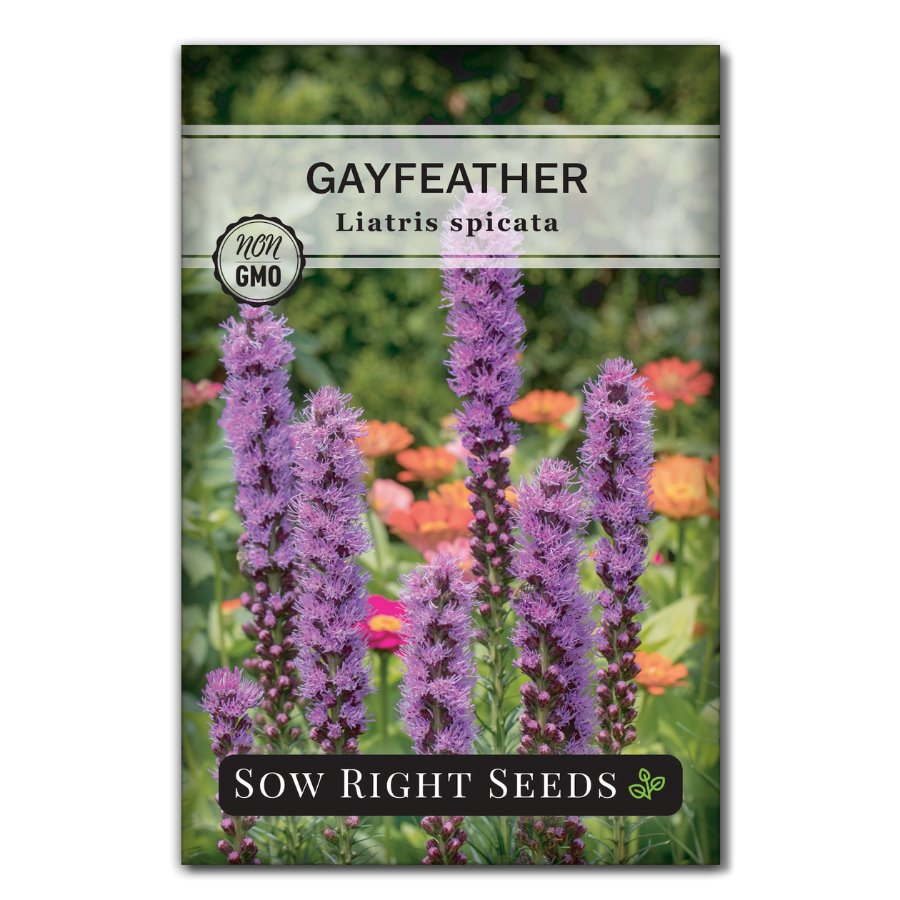 purple flower seed packets Sow Right Seeds - Gayfeather Liatris Spicata Flower Seed for Planting