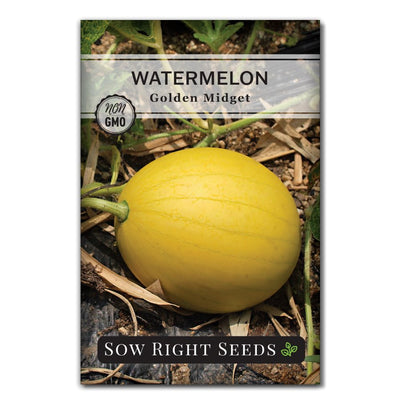 golden midget watermelon seeds