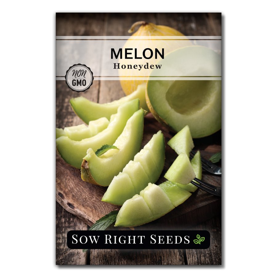 plant honeydew seeds Sow Right Seeds - Green Honeydew Melon Seed for Planting