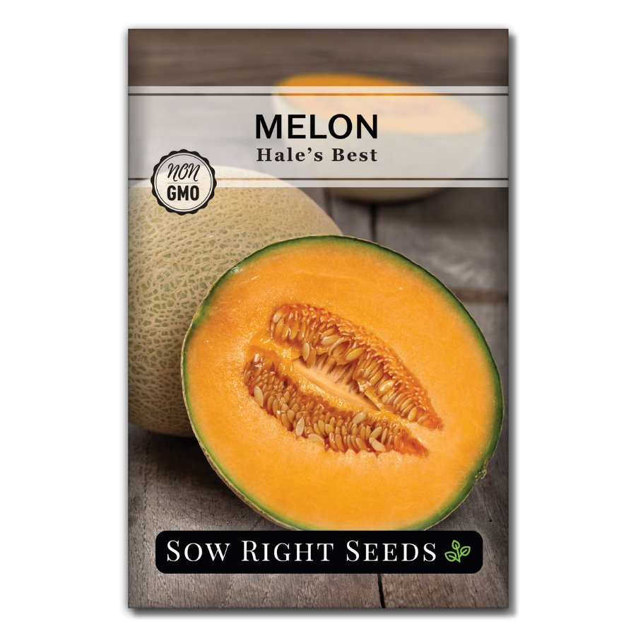 Hale's Best Melon Seeds for Planting Classic Cantaloupe Sow Right Seeds
