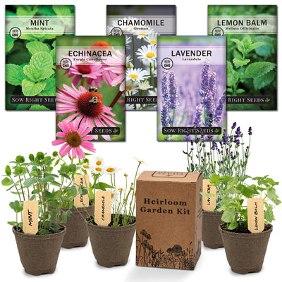 herbal tea garden starter kit with lavender chamomile lemon balm mint and echinacea