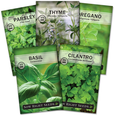 hydroponic herb collection containing 5 herb varieties