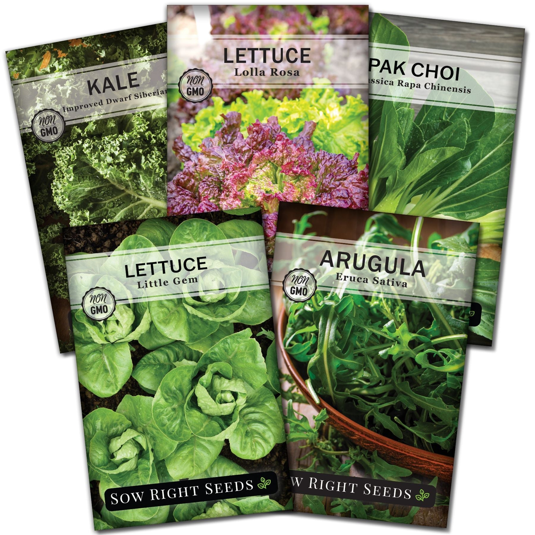 9+ Seeds For Hydroponic Garden Hydroponic Vegetable Greens Seed Collection - Grow in Your Kitchen