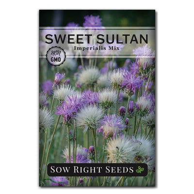feathery sweet smelling sultan sweet william seeds for sale