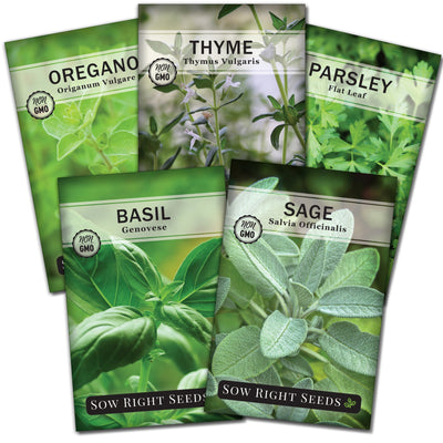 italian herb collection containing 5 varieties of seeds basil parsley thyme oregano sage