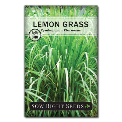 zesty tangy lemon grass seeds for sale