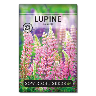 pink flower lupine seeds