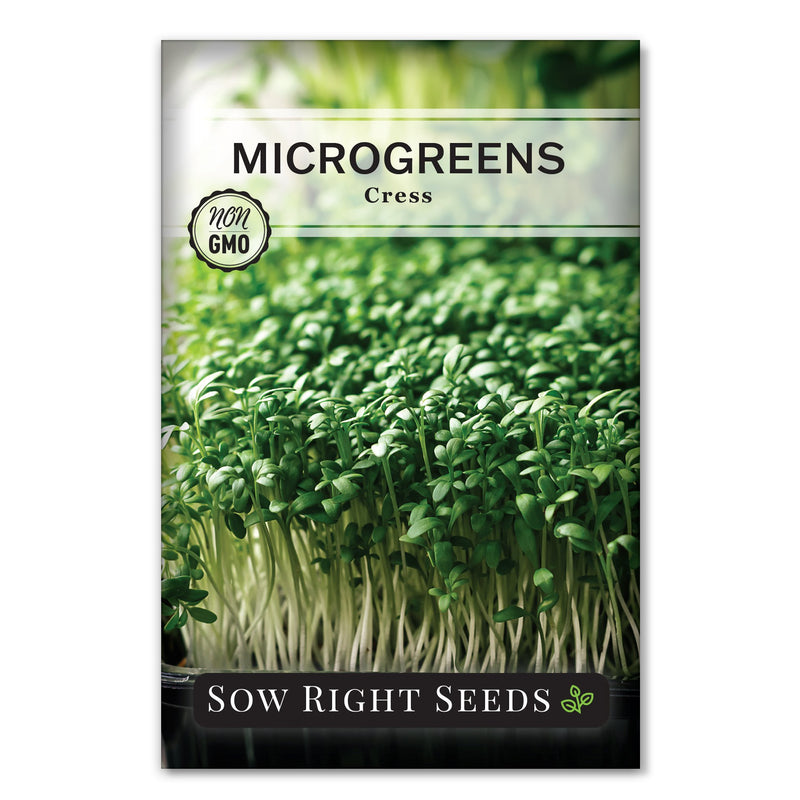 curled cress microgreen seed packet
