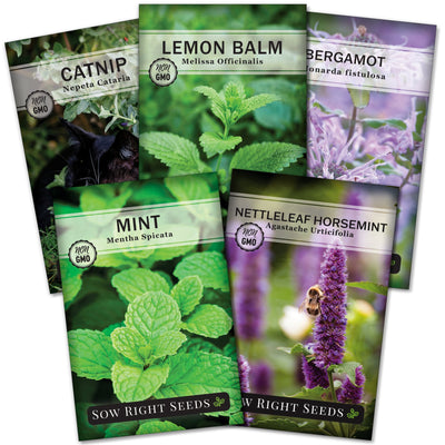 mint seed packet collection with 5 varieties for sale