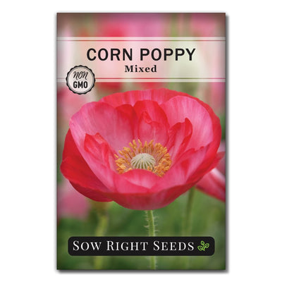 pink red and white corn poppy seeds for sale