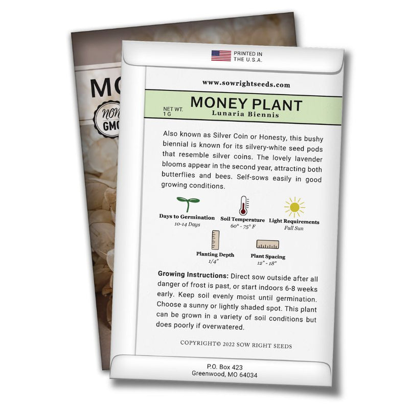 how to grow the best money plants