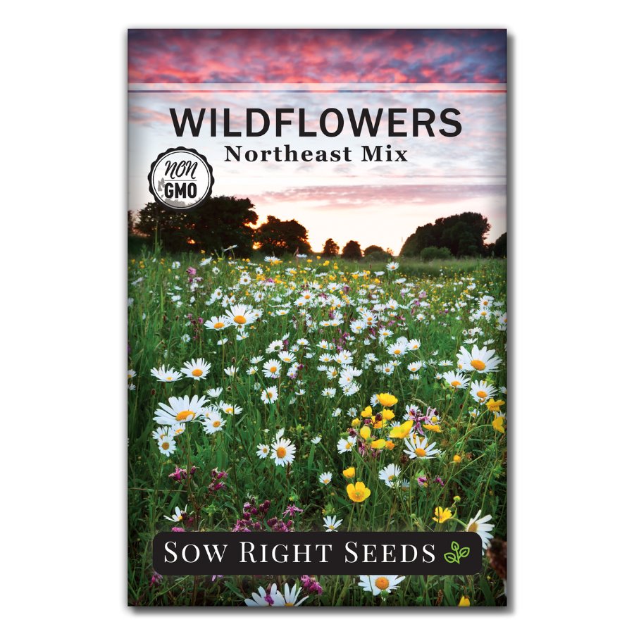 northeast wildflower seeds bulk Northeast Region Wildflower Seeds
