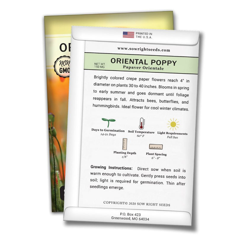 how to grow the best oriental poppy plants