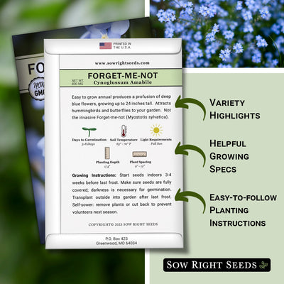 how to grow the best forget-me-not plants with variety highlights, helpful growing specs, and easy to follow planting instructions