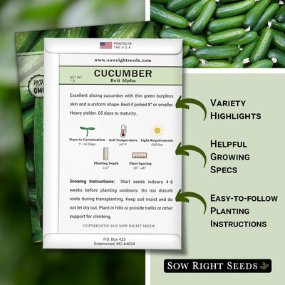 how to grow the best beit alpha cucumber plants with variety highlights, helpful growing specs, and easy to follow planting instructions