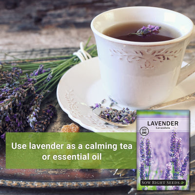 dried lavender flower tea use lavender as a calming tea or essential oil