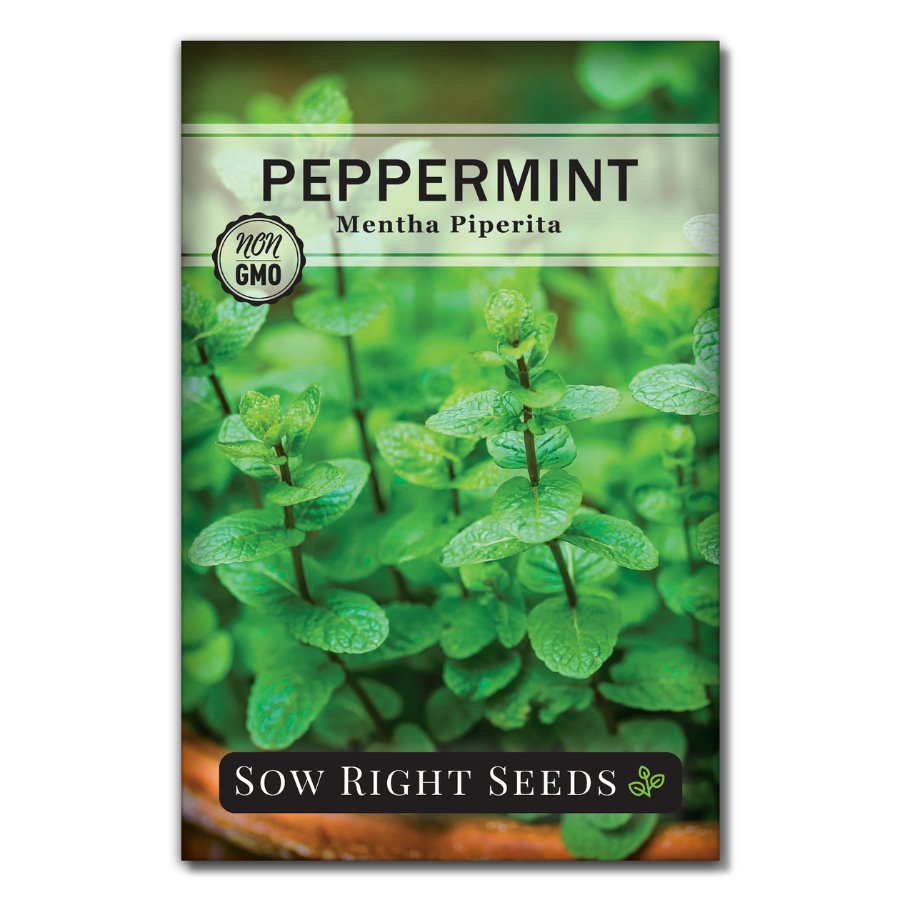 plant peppermint seeds Sow Right Seeds - Peppermint Seeds for Planting - Non-GMO Heirloom Seeds