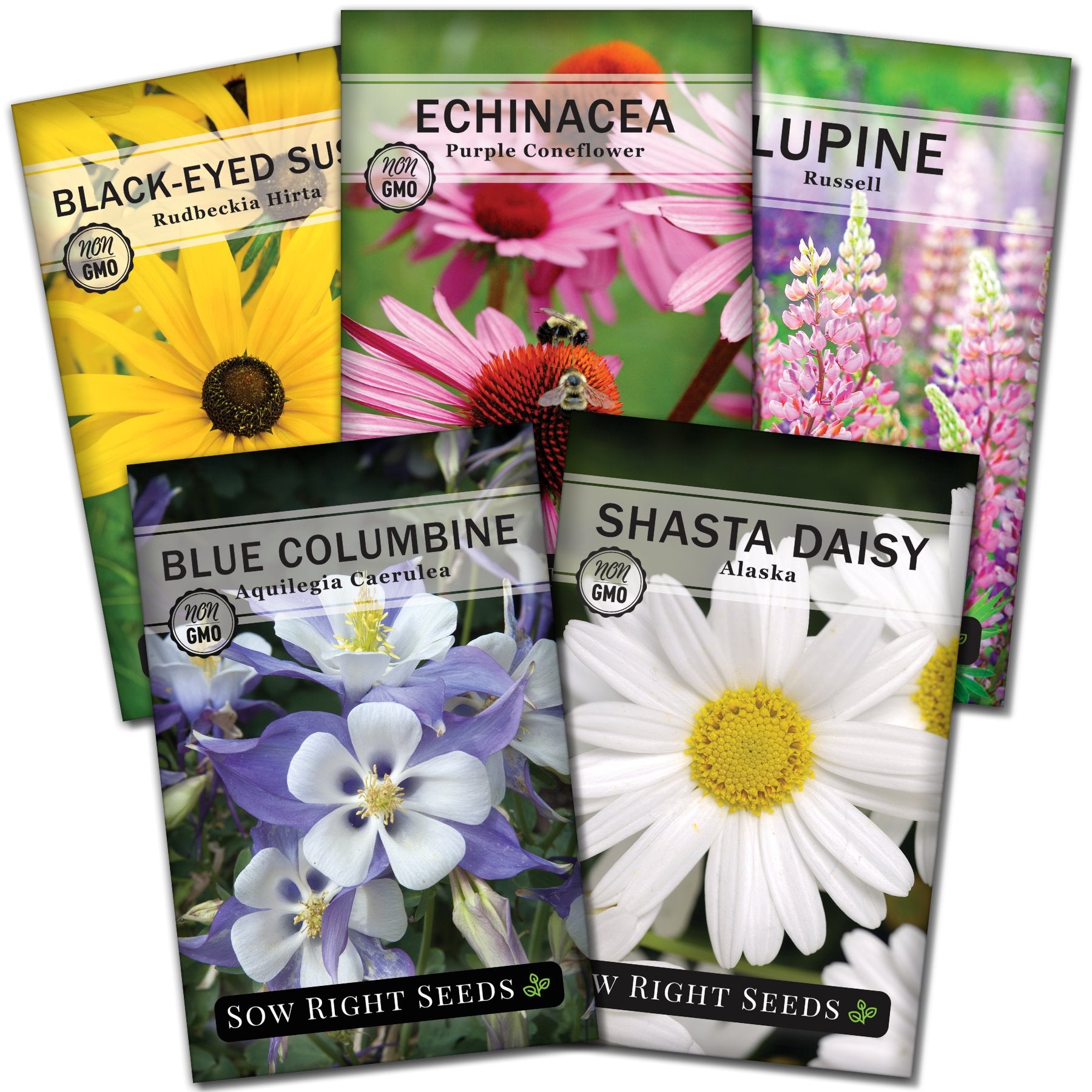 Sow Right Seeds - Flower Seed Garden Collection for Planting - 5 Packets Includes Marigold, Zinnia, Sunflower, Cape Daisy, and Cosmos - Wonderful