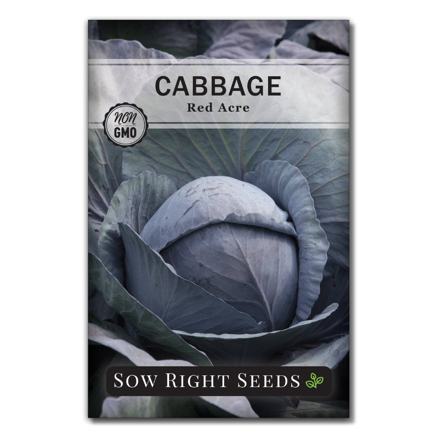 Red Acre Cabbage Seeds for Planting Easy to Grow Sow Right Seeds