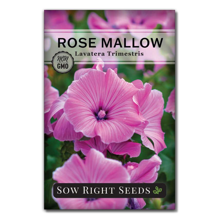 mallow flower seeds Sow Right Seeds Rose Mallow Plant Seeds, Non-GMO