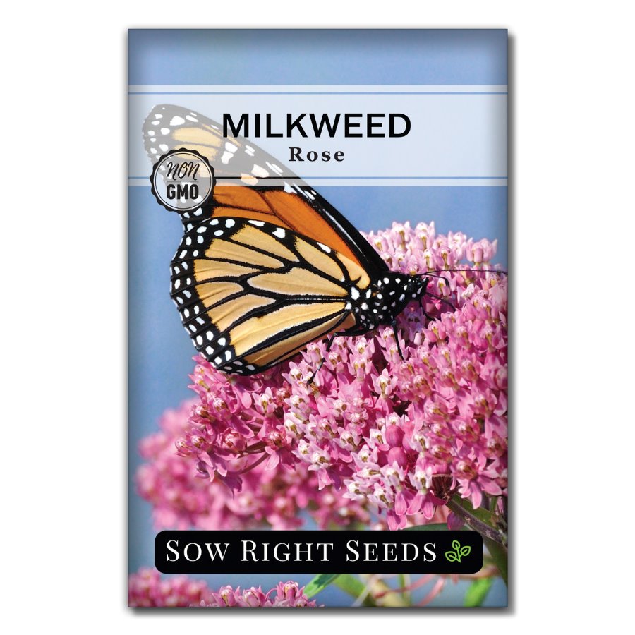 rose milkweed seeds Sow Right Seeds - Rose Milkweed Seeds - Attract Monarch Butterflies to Your Garden - Non-GMO Heirloom Seeds