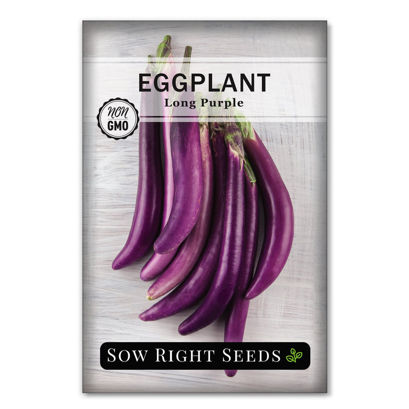 productive long purple eggplant seeds for sale
