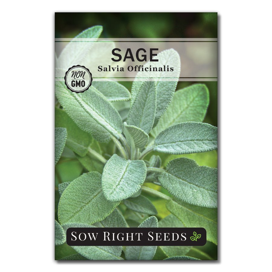 sage plant seeds Sow Right Seeds - Sage Seeds for Planting