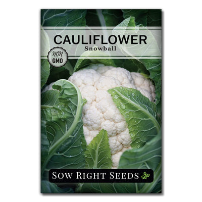white cole crop snowball cauliflower seeds for sale