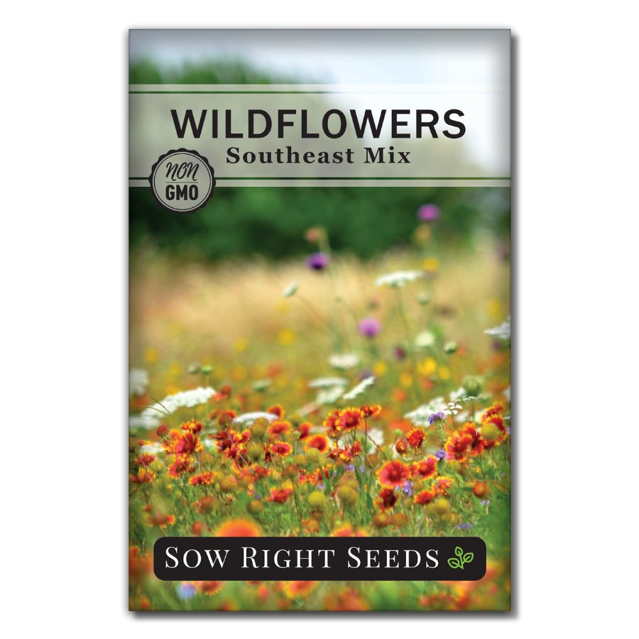 Flower Mix - South East Native Mix : Vigorous-growing Wildflowers.