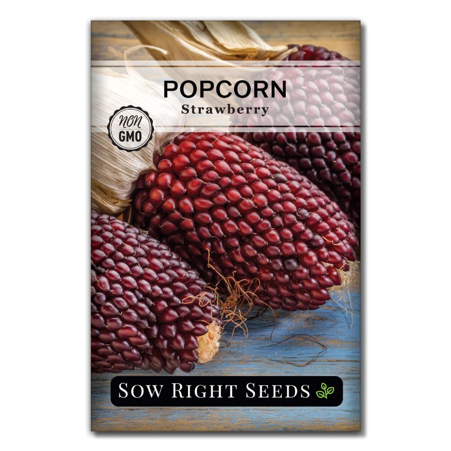 strawberry popcorn seed Strawberry Popcorn Seeds for Planting