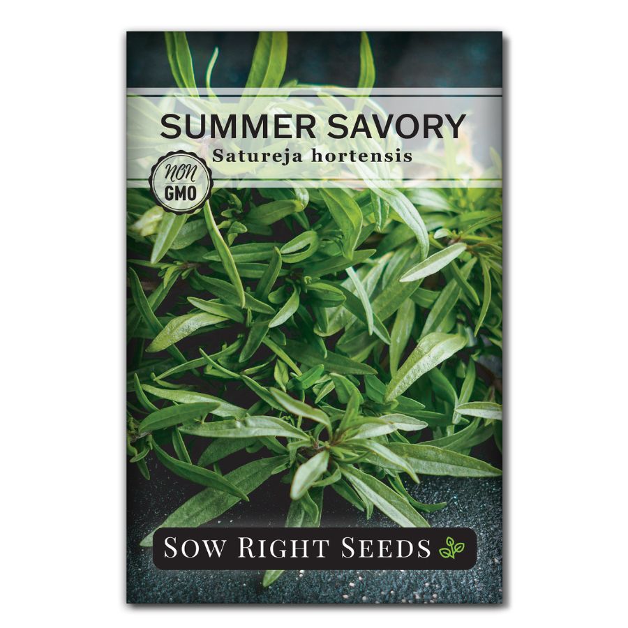 seeds to plant for summer Sow Right Seeds - Summer Savory Seed for Planting - Culinary Herb to Plant in Your Home Herb Garden - Indoors or Outdoors