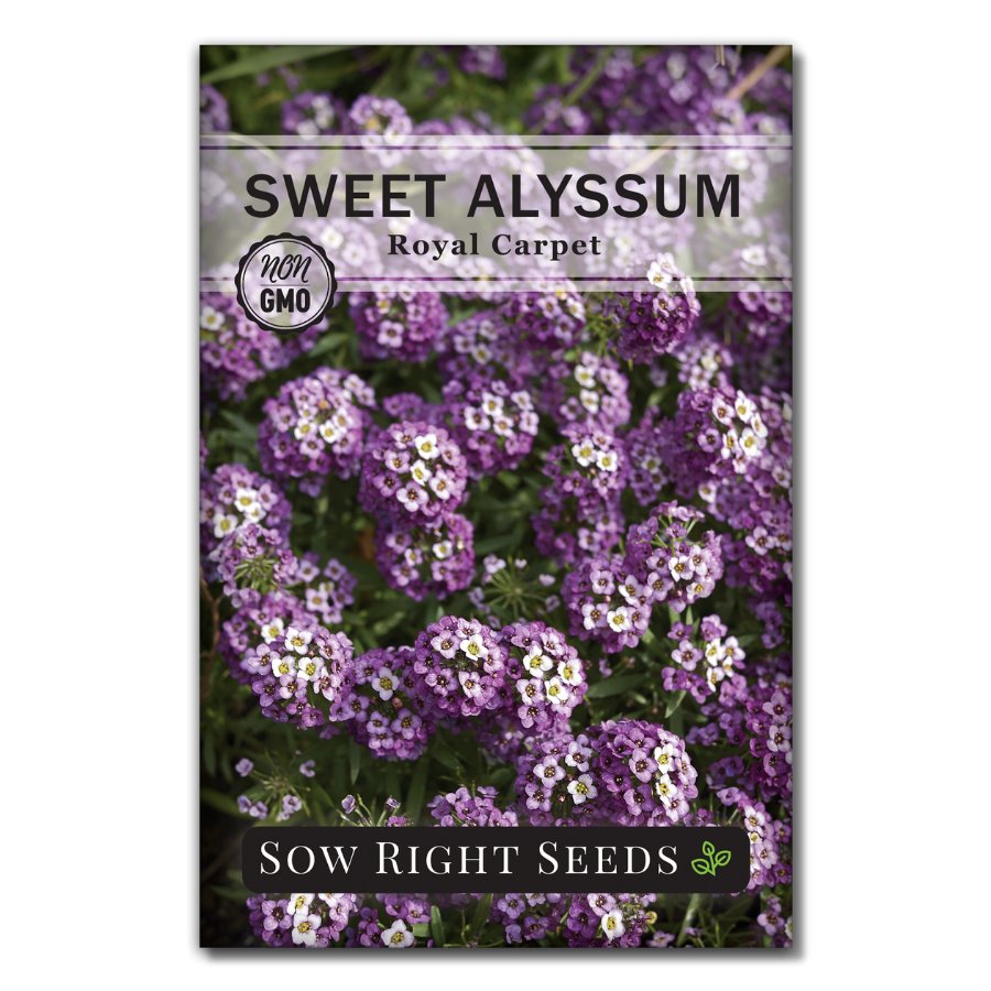 carpet flower seeds Sow Right Seeds