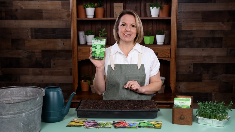 lemon basil product video why you should grow basil seeds sow right seeds video media