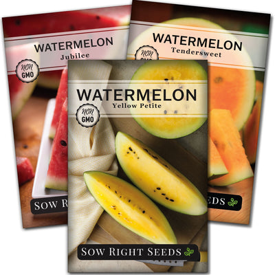 tri color watermelon seed packet collection with 3 varieties of seeds for sale