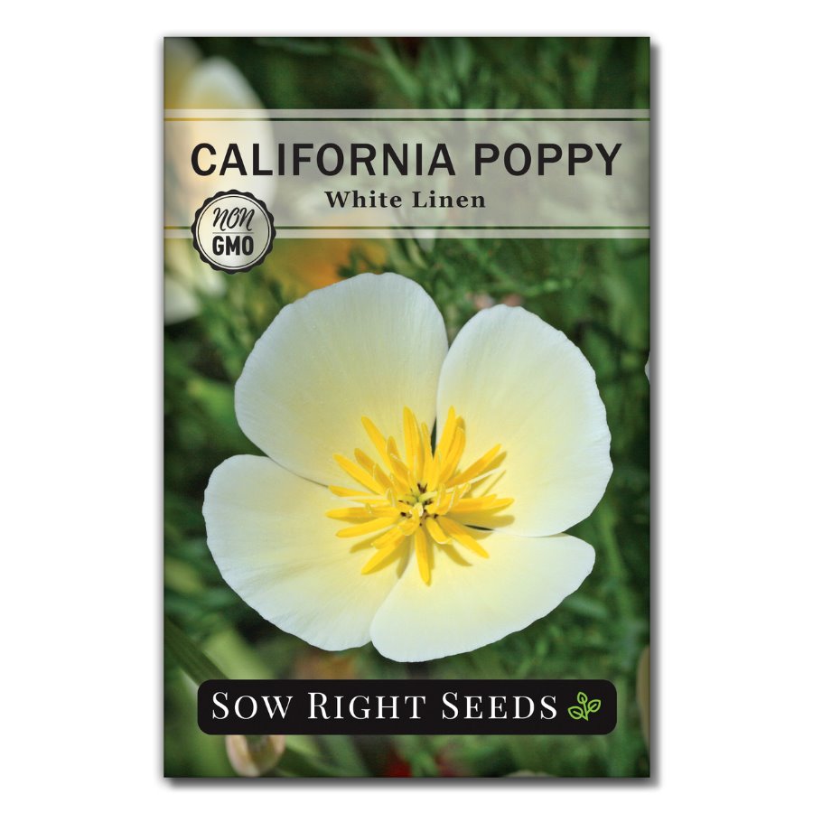 white poppy flower seeds White Linen California Poppy