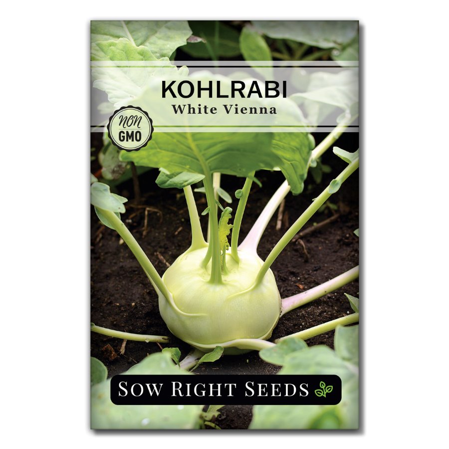 plant kohlrabi seeds Sow Right Seeds - White Vienna Kohlrabi Seed for Planting - Non-GMO Heirloom Packet with Instructions