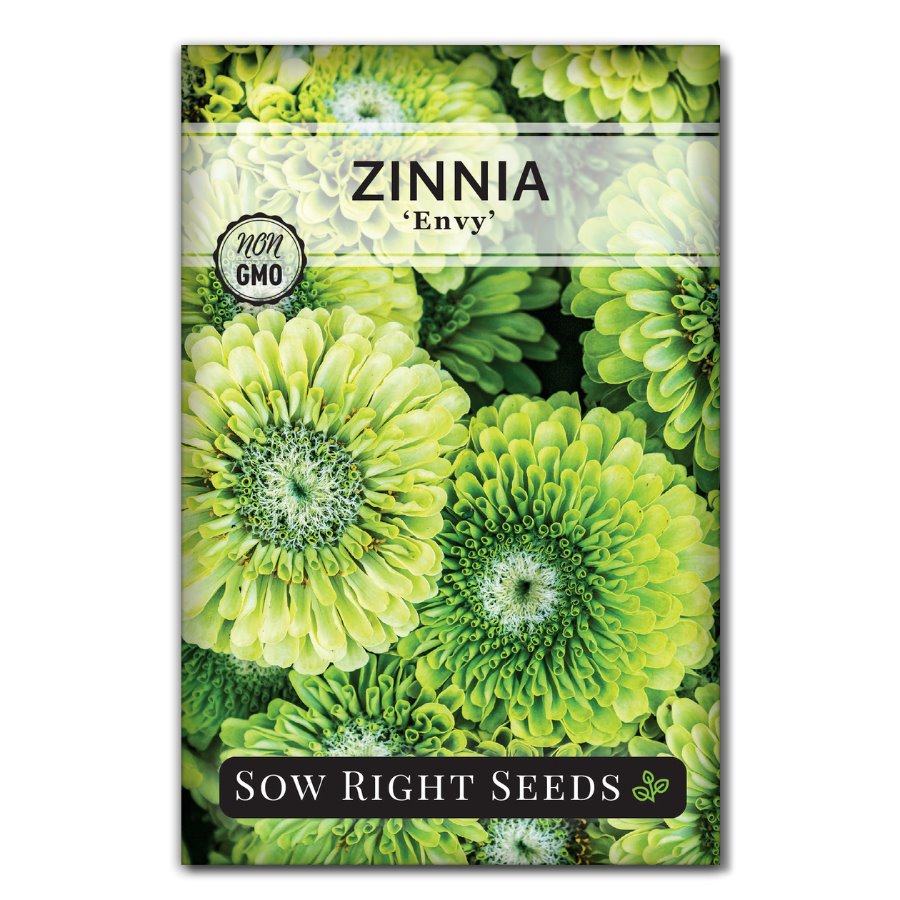 green flower seeds Envy Zinnia